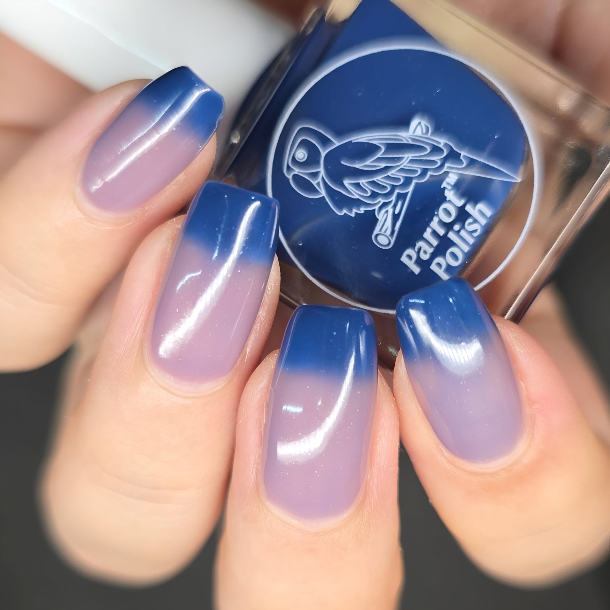Glossy Jelly-Like Visual Idea Glossy Jelly-Like Visual Idea — Thermal Nails