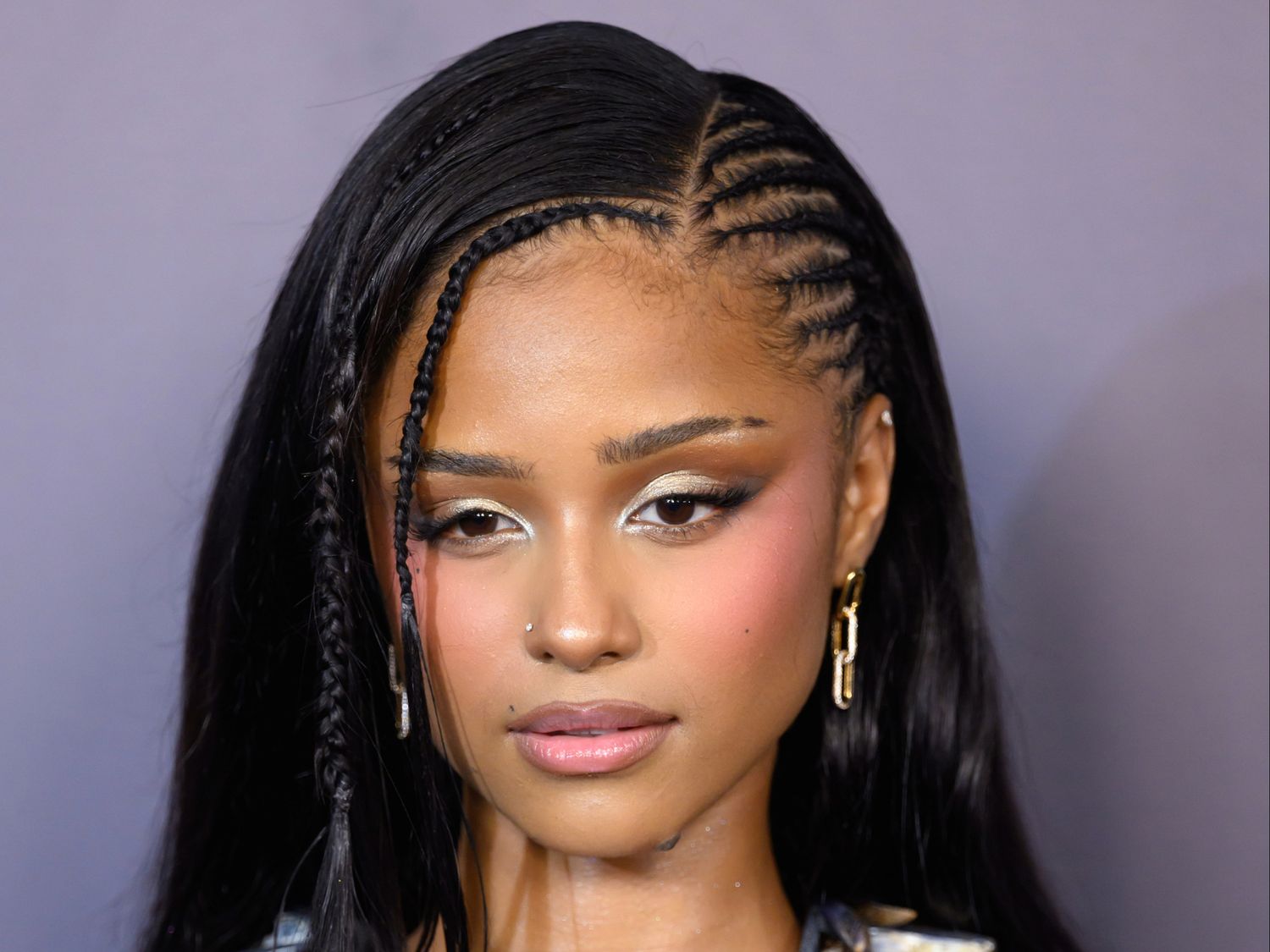 Side Cornrows with Small Braids — Braid Patterns