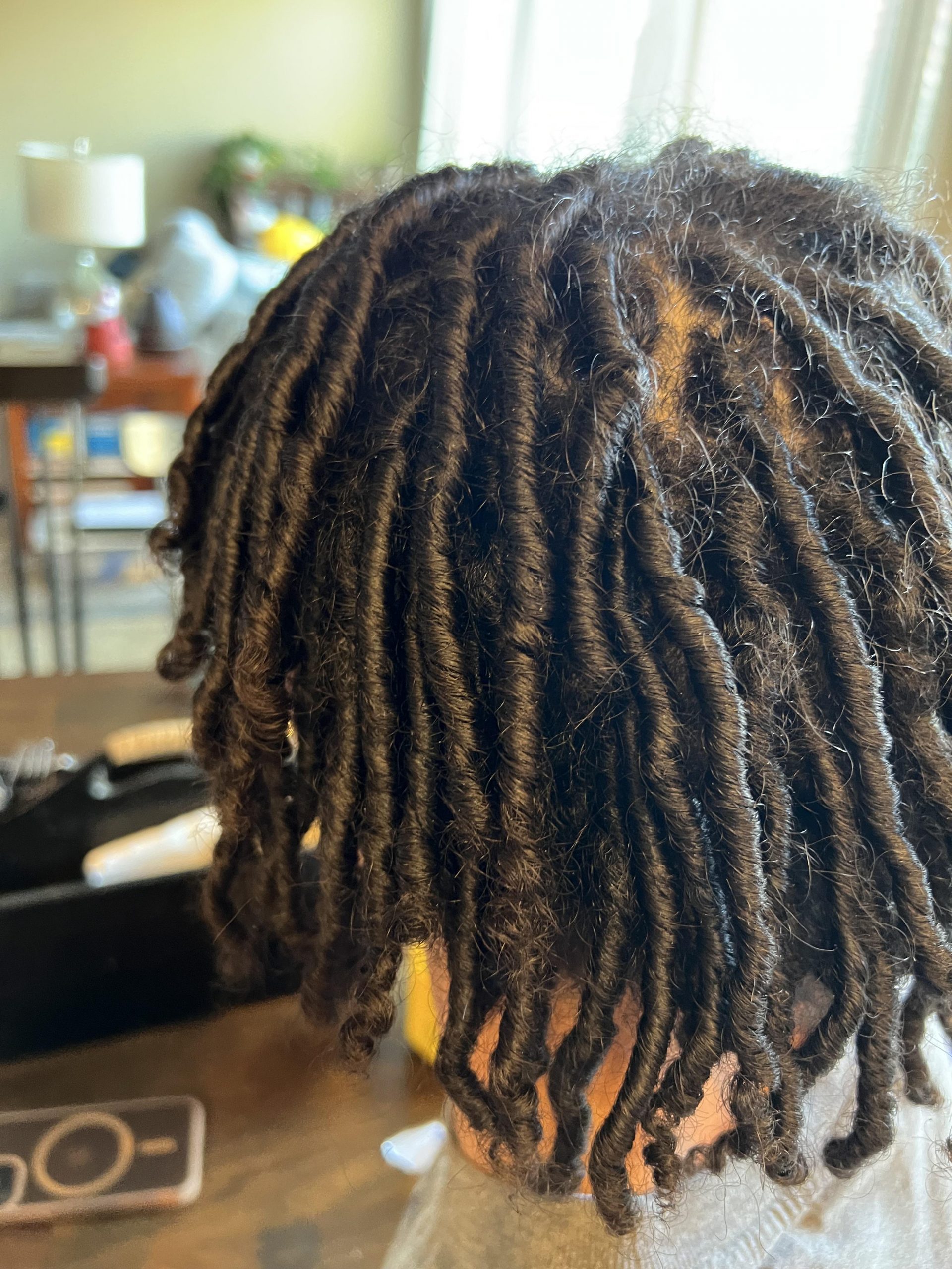 Black Collarbone Length Dense Starter Locs
