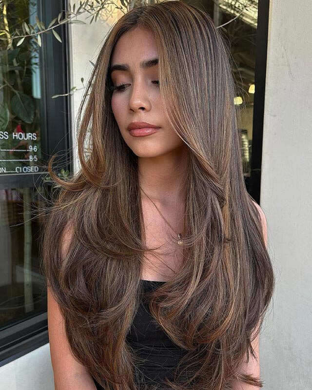 Mid-Back Rich Brown With Subtle Caramel — Long Layered Hair