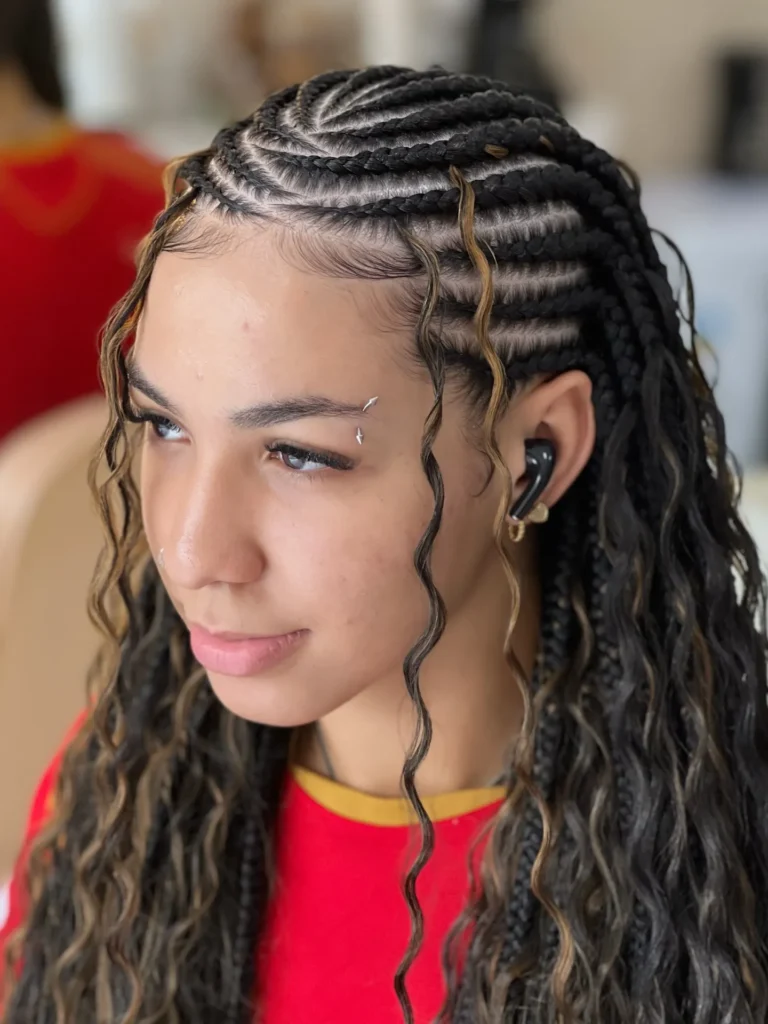 Fulani Braids With Blonde and Brown Highlights
