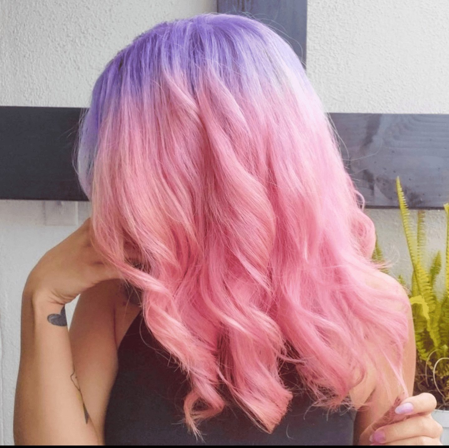 Mid-Back Purple to Pink Gradient Mid-Back Purple to Pink Gradient — Cotton Candy Hair