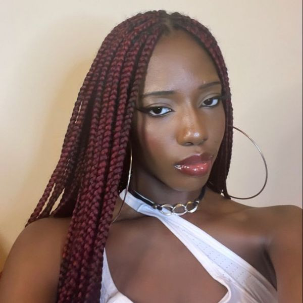 Mid-Back Visual Idea — Burgundy Braids