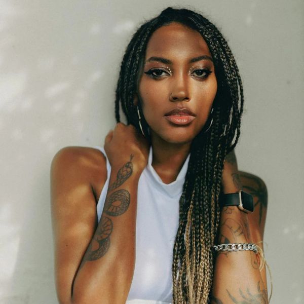Thick Braids with Dark Brown to Blonde Ombre — Colorful Braids