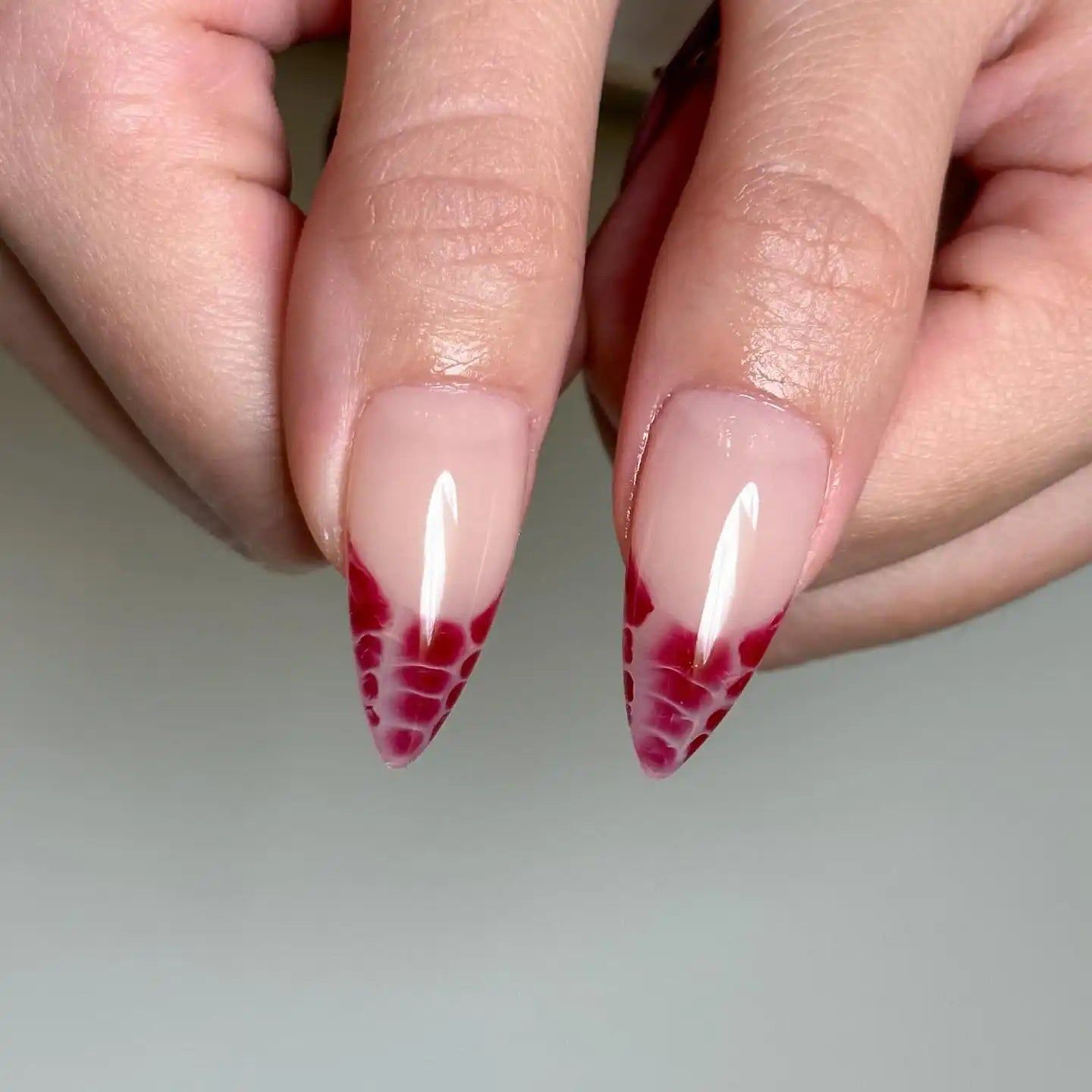 Long Stiletto Red Snake Print French Long Stiletto Red Snake Print French — Snake Print Nails