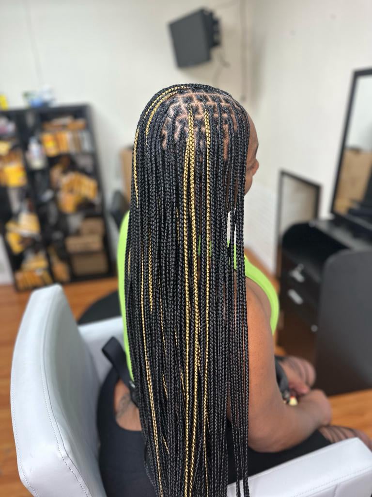 Black Braids with Blonde Streaks — Small Knotless Braids