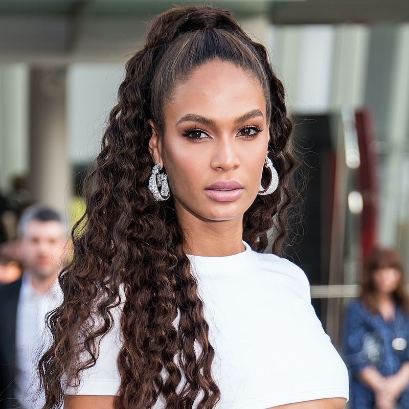 Curly Thick Visual Idea Curly Thick Visual Idea — Curly High Ponytail