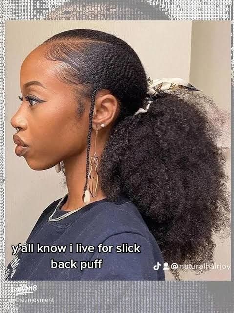 Black With Blonde Highlights Visual Idea — Puff Ponytail