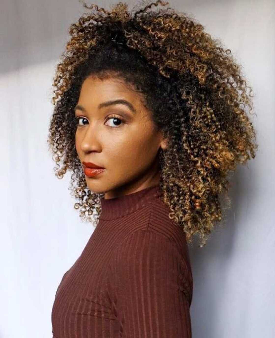 Highlights With Loose Collarbone Curls — Half Up Half Down Natural Hair