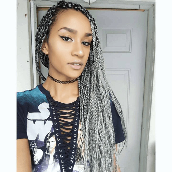 Mid-Back Visual Idea — Gray Braids