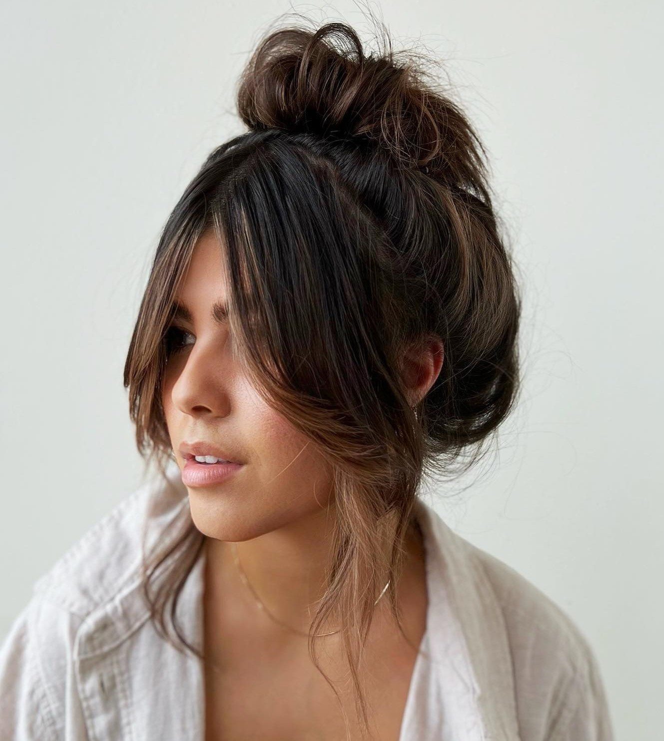 Dark Brown With Highlights Visual Idea Dark Brown With Highlights Visual Idea — Low Bun with Curtain Bangs