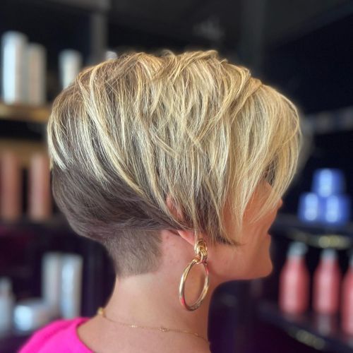Ear Visual Idea — Pixie Bob