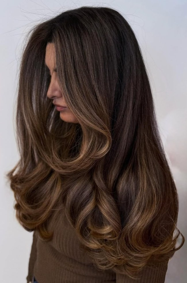 No Bangs Visual Idea — Brown Highlights