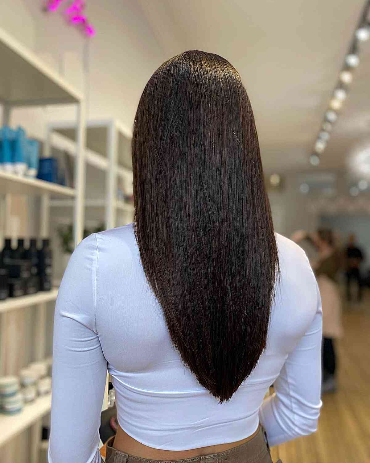 Thick Straight Dark Brown Sharp V Shape — This Image Shows The Back View Of Long — V Cut Hair