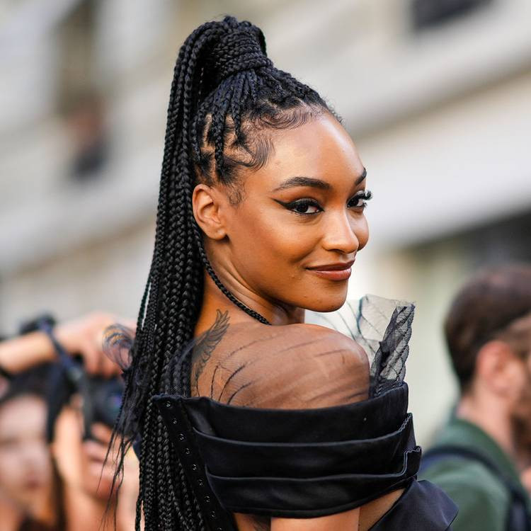 Back And Side View Visual Idea Back And Side View Visual Idea — Cornrow Ponytail