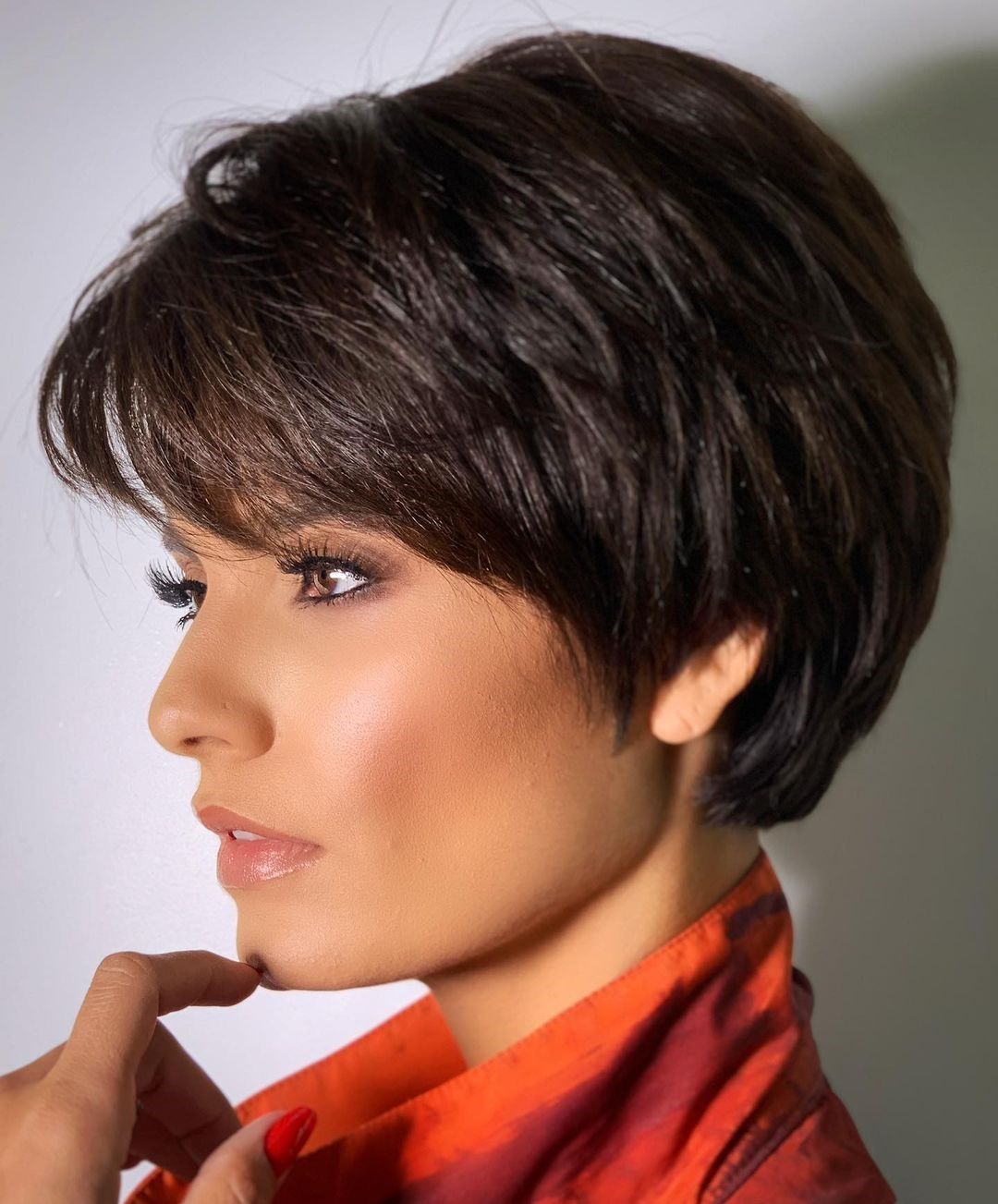 Sharp Layers on a Dark Pixie Bob