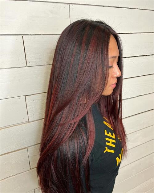 Black Base With Red Highlights Visual Idea Black Base With Red Highlights Visual Idea — Red Highlights on Black Hair