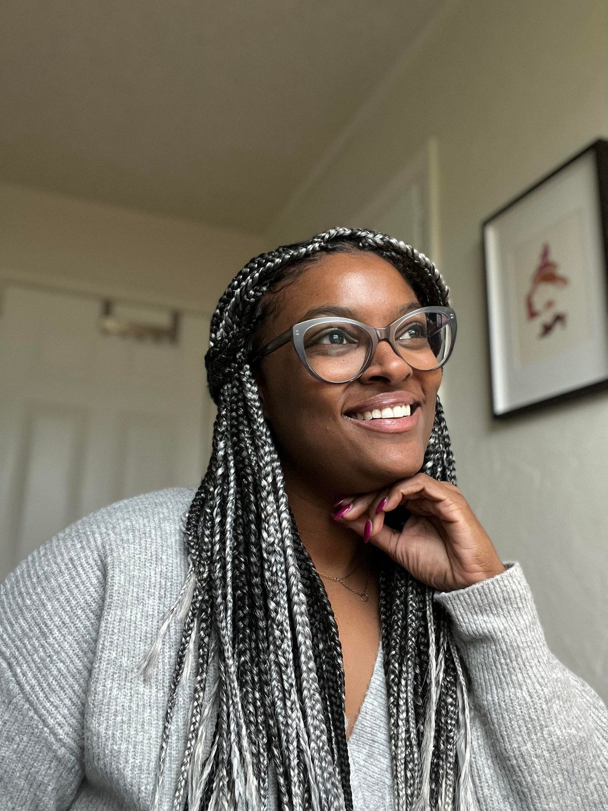 Gray and Black Contrast Box Braids — Gray Braids