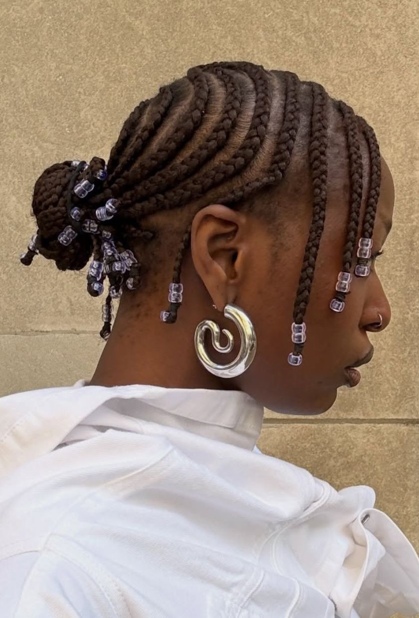 Braids Gathered Into A Bun Visual Idea — Braids for Work