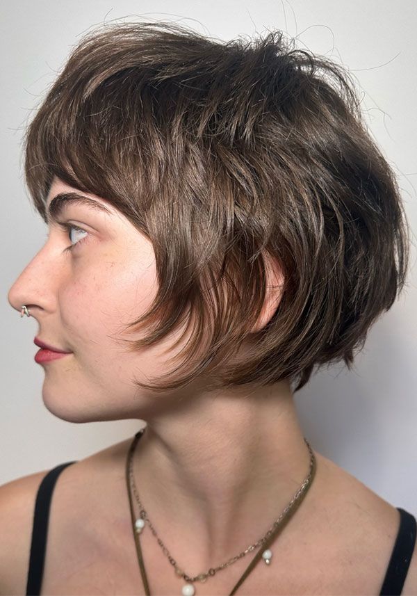 Chin-Length Visual Idea — Pixie Bob