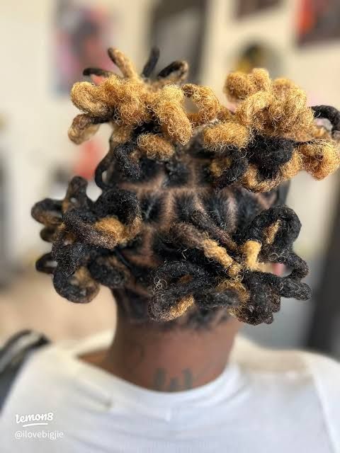 Chin Visual Idea — Loc Petals