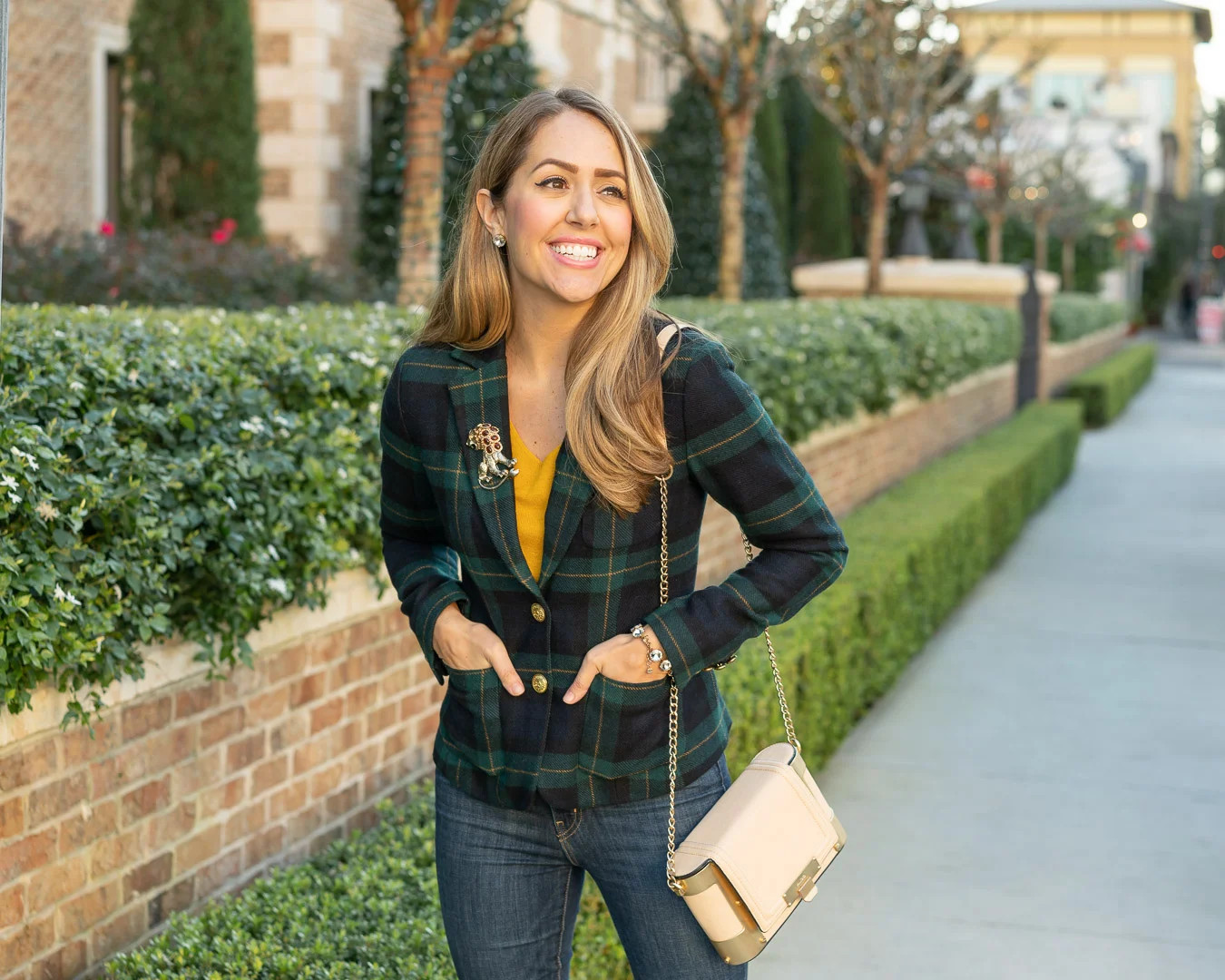 Plaid Blazer with a Gold Animal Brooch Plaid Blazer with a Gold Animal Brooch — Brooch Outfits