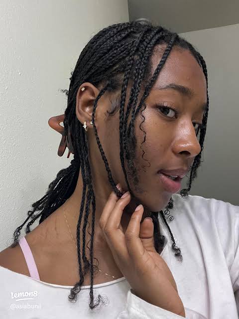 Front View Visual Idea — Mini Braids