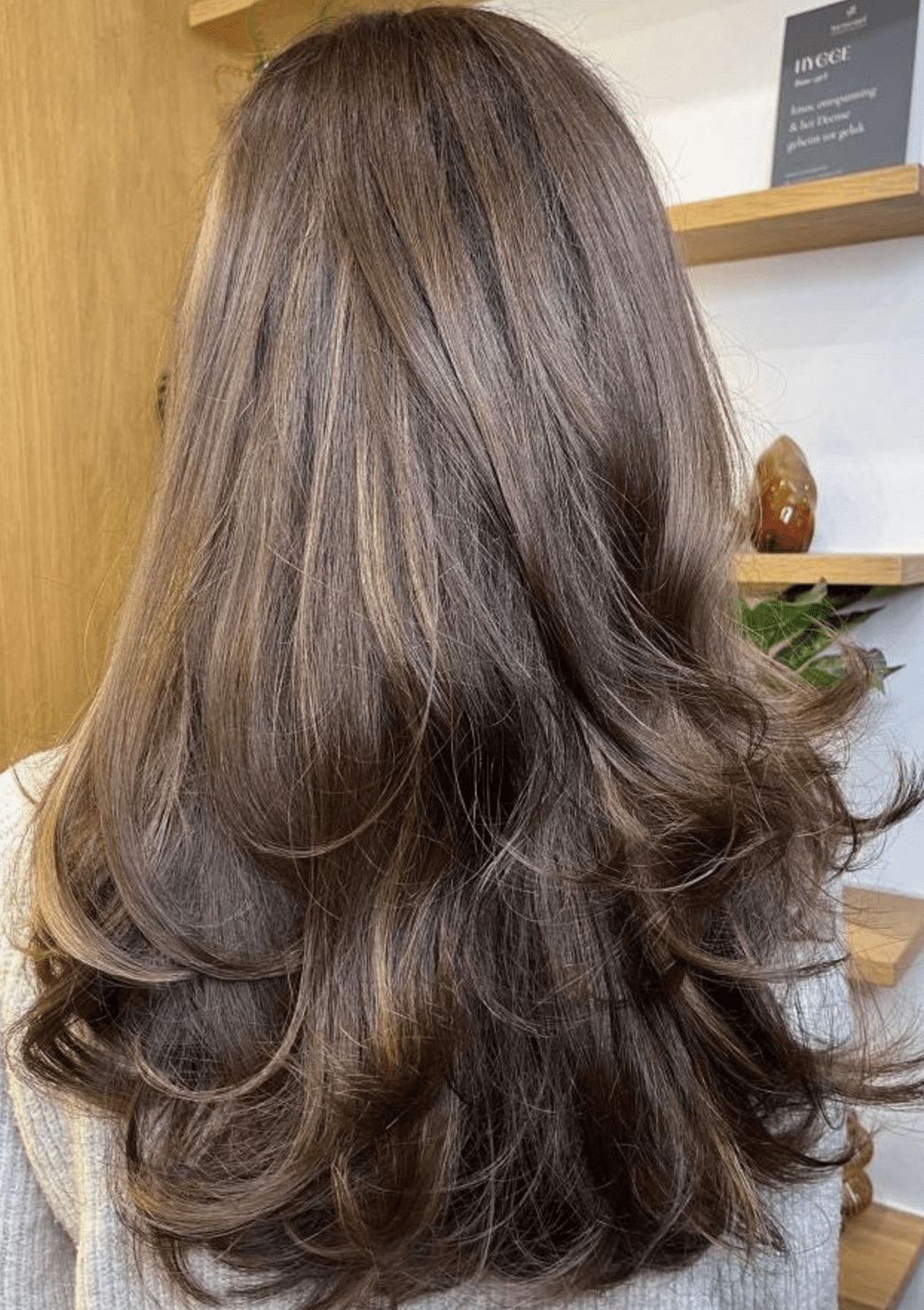 Layers Visual Idea Layers Visual Idea — Hair Color for Tan Skin
