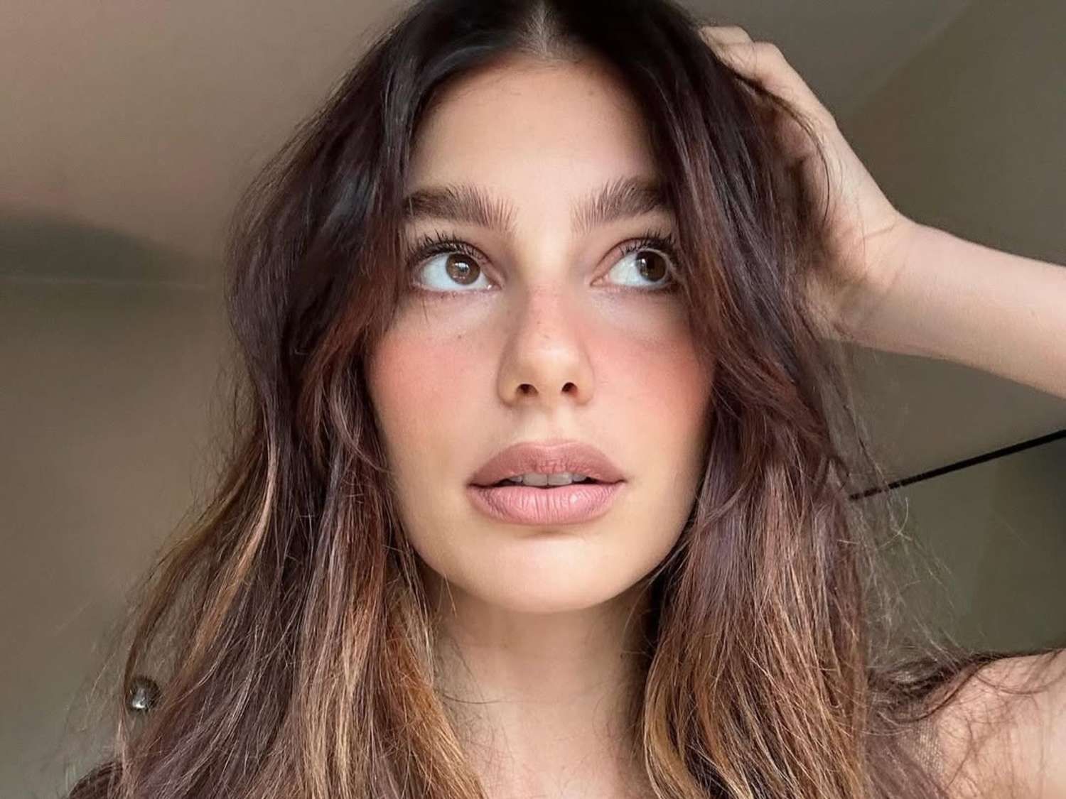 Chestnut Brown With Subtle Highlights Visual Idea Chestnut Brown With Subtle Highlights Visual Idea — Hair Color for Brown Eyes
