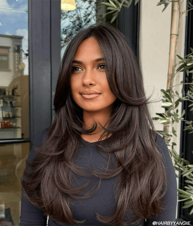 No Bangs Dark Brown Butterfly With Highlights — Butterfly Haircut Long Hair