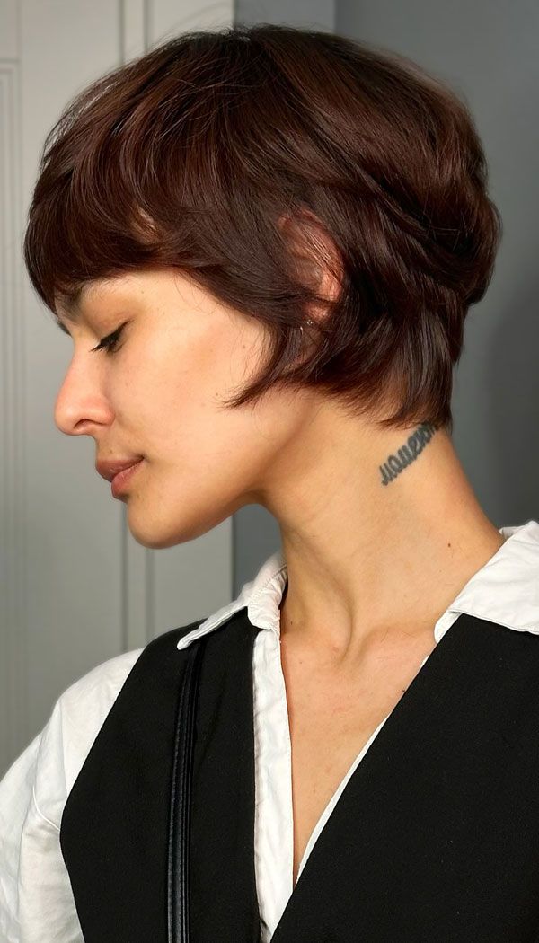 Chin Visual Idea — Pixie Bob
