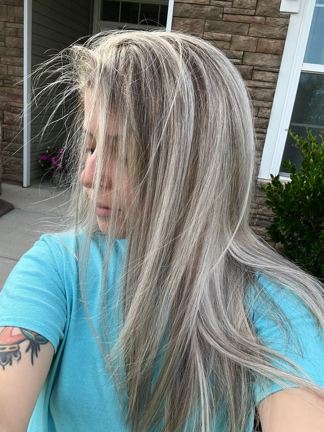 Air-Dried Ash Blonde With Lowlights Air-Dried Ash Blonde With Lowlights — Lowlights on Blonde Hair