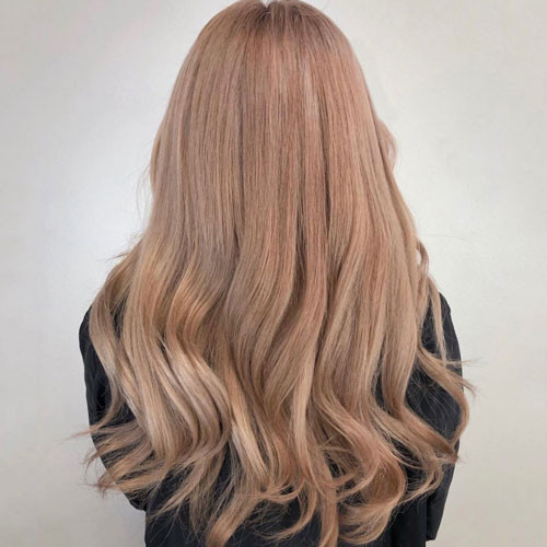 Long Layered Cut Visual Idea — Milk Tea Hair