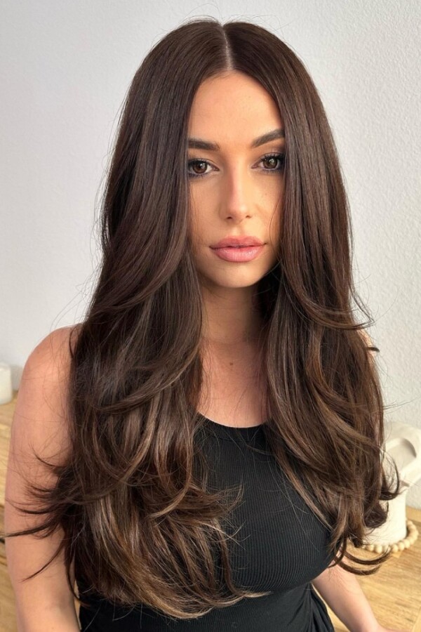 Dark Brown Blowout With Layers — Middle Part Hairstyles