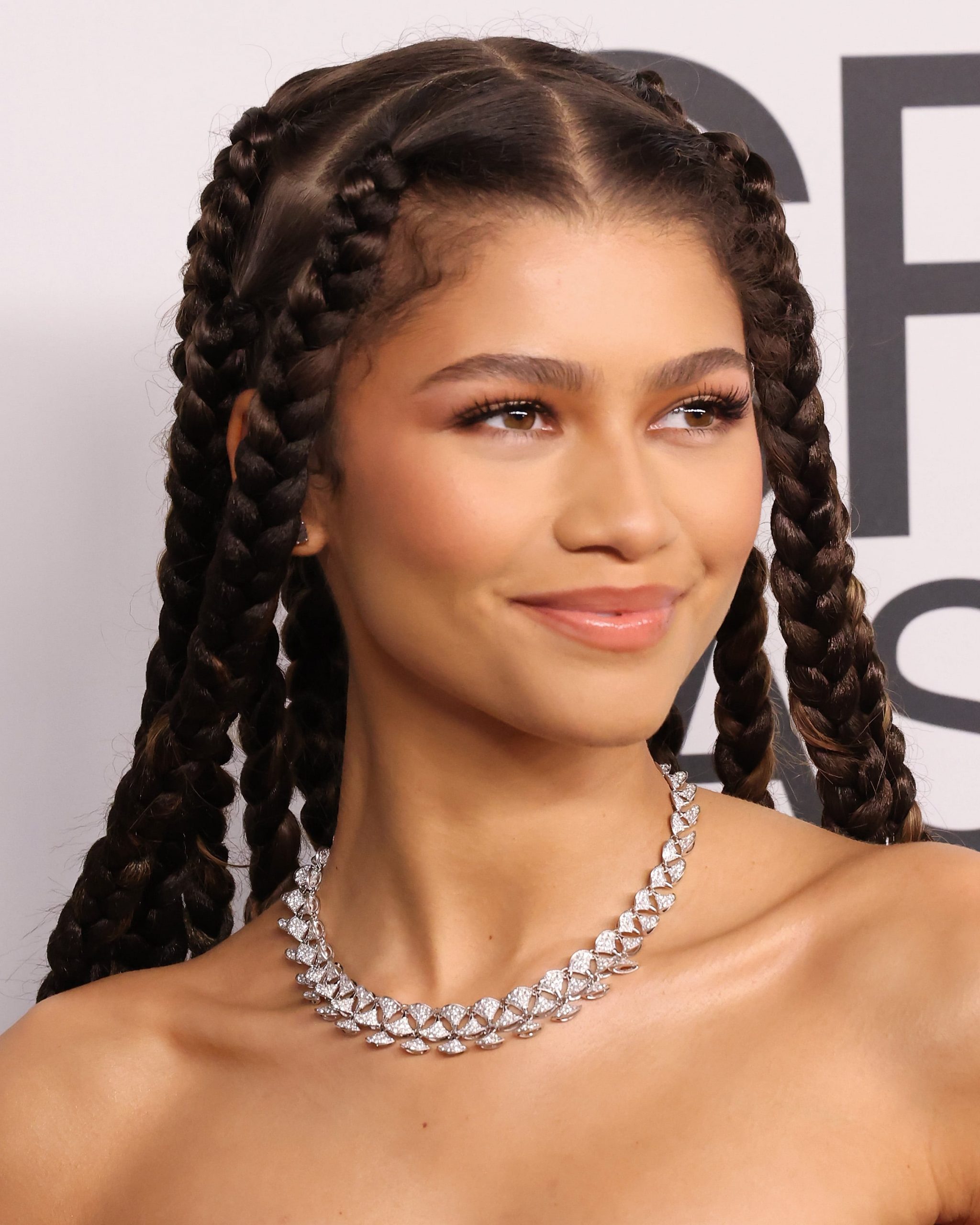 Thick Smooth Dark Brown Jumbo Braids
