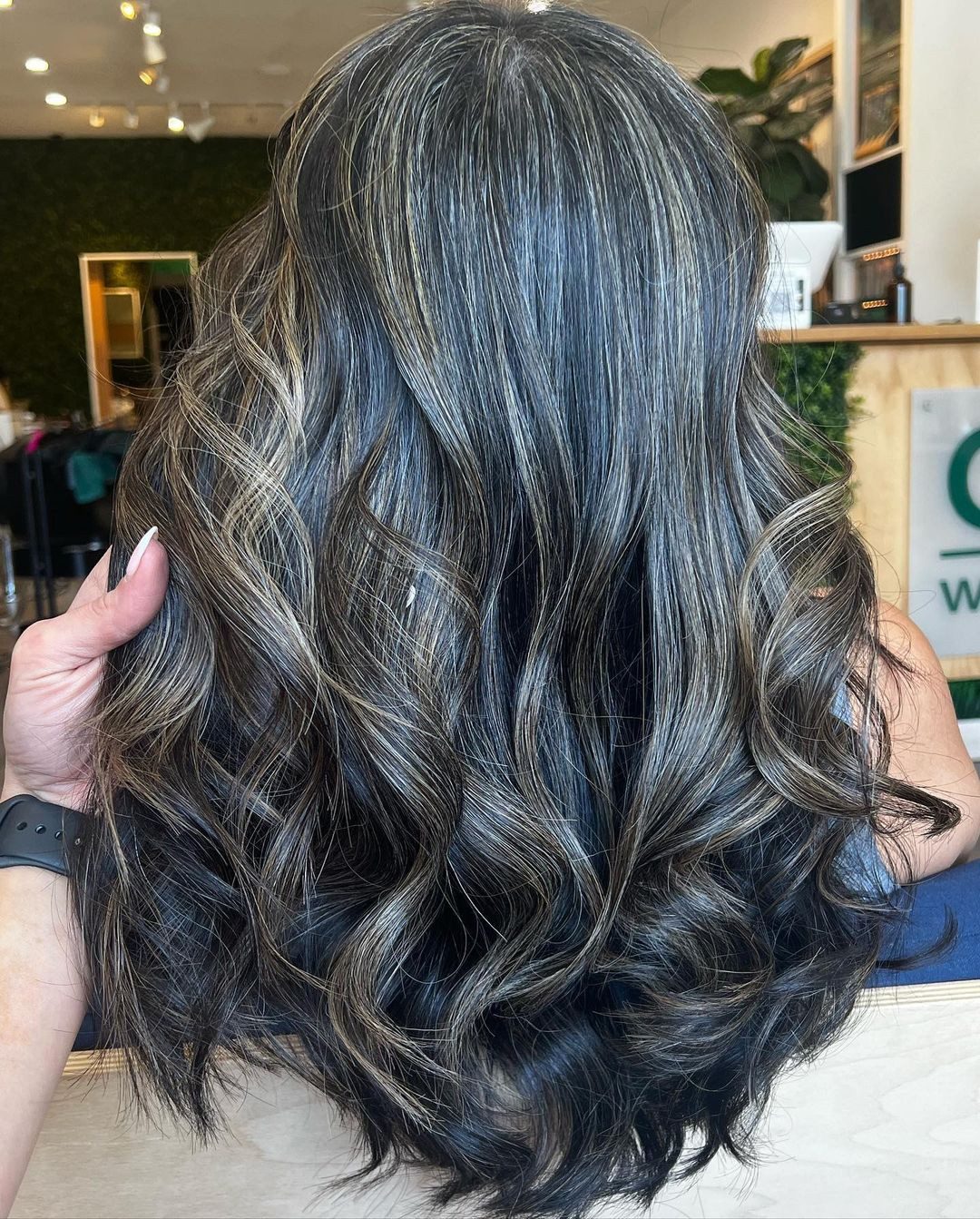 Visual Idea — This Image Shows The Back View Of Long Visual Idea — This Image Shows The Back View Of Long — Silver Highlights on Black Hair