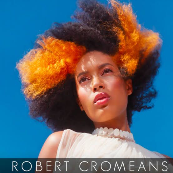 Afro With Orange and Yellow Highlights — Alt Hairstyles