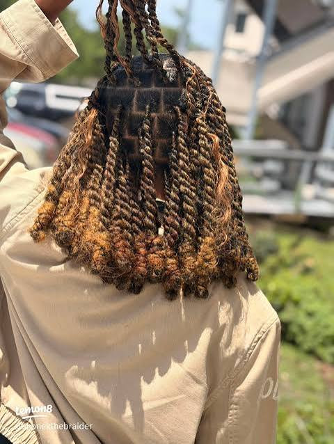 Short Brown Ombre Twists — Ombre Braids
