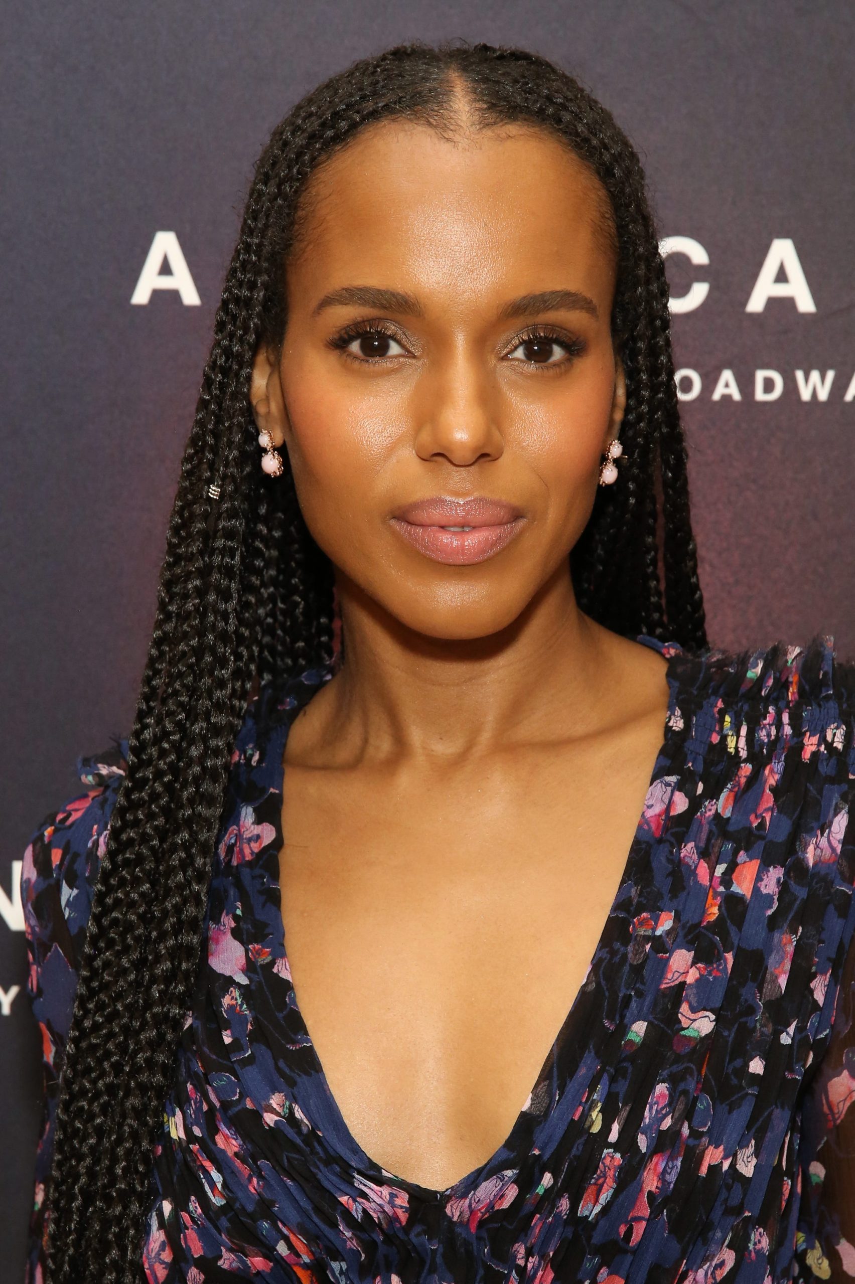 Long, Voluminous Black Braids — Cornrows