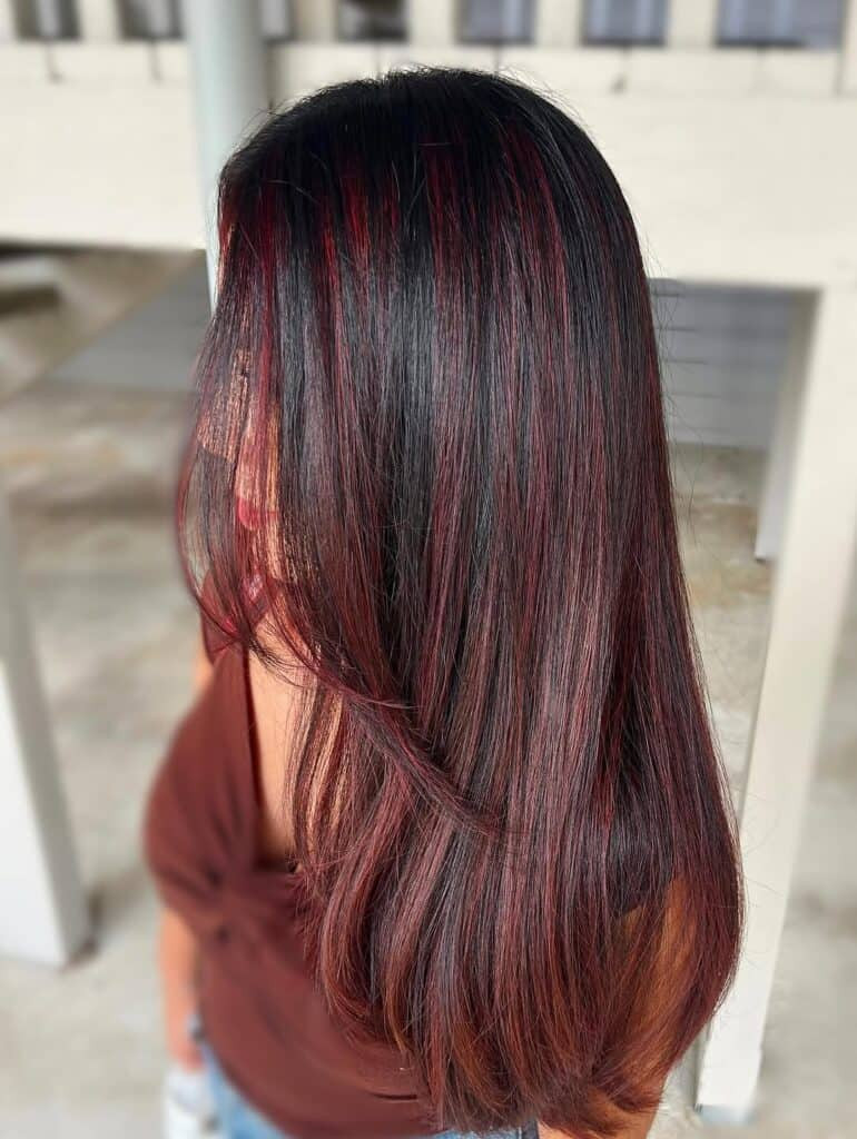 Long Straight Dark Base With Red Highlights Long Straight Dark Base With Red Highlights — Red and Black Hair
