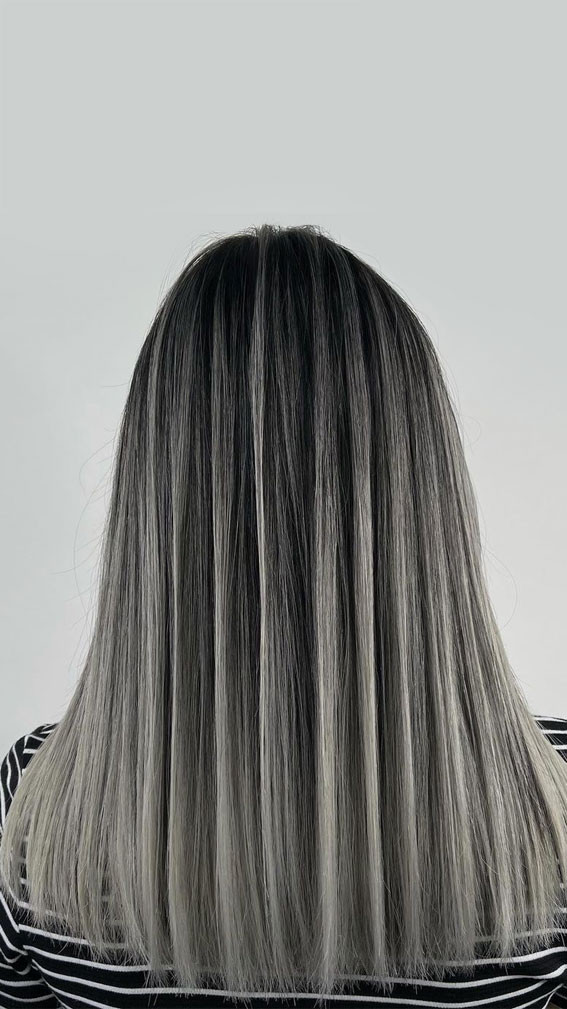 Straight Cut Visual Idea Straight Cut Visual Idea — Silver Highlights on Black Hair