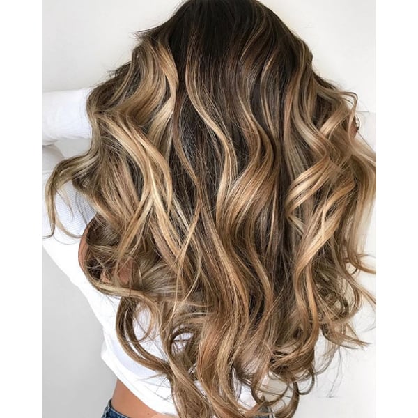 Back View Visual Idea Back View Visual Idea — Honey Balayage