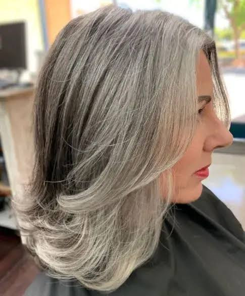 Visual Idea — Salt and Pepper Hair