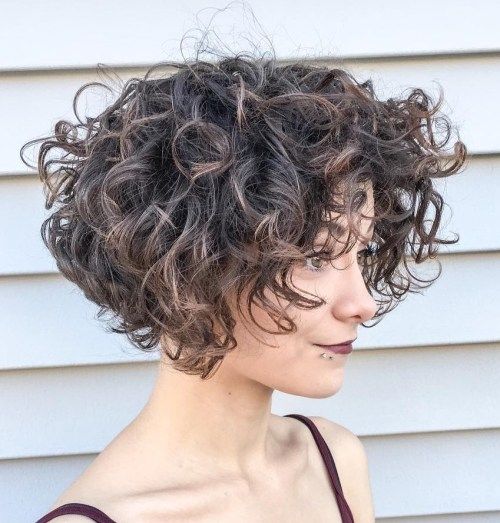 Voluminous Dark Brown Bob with Highlights — Short Curly Haircuts