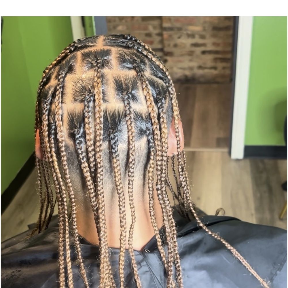 Mid-Back Braided Locs With Blonde Highlights — Starter Locs