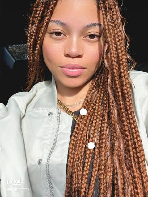 Medium-Thick Box Braids Ginger With Wavy Ends Medium-Thick Box Braids Ginger With Wavy Ends — Ginger Braids