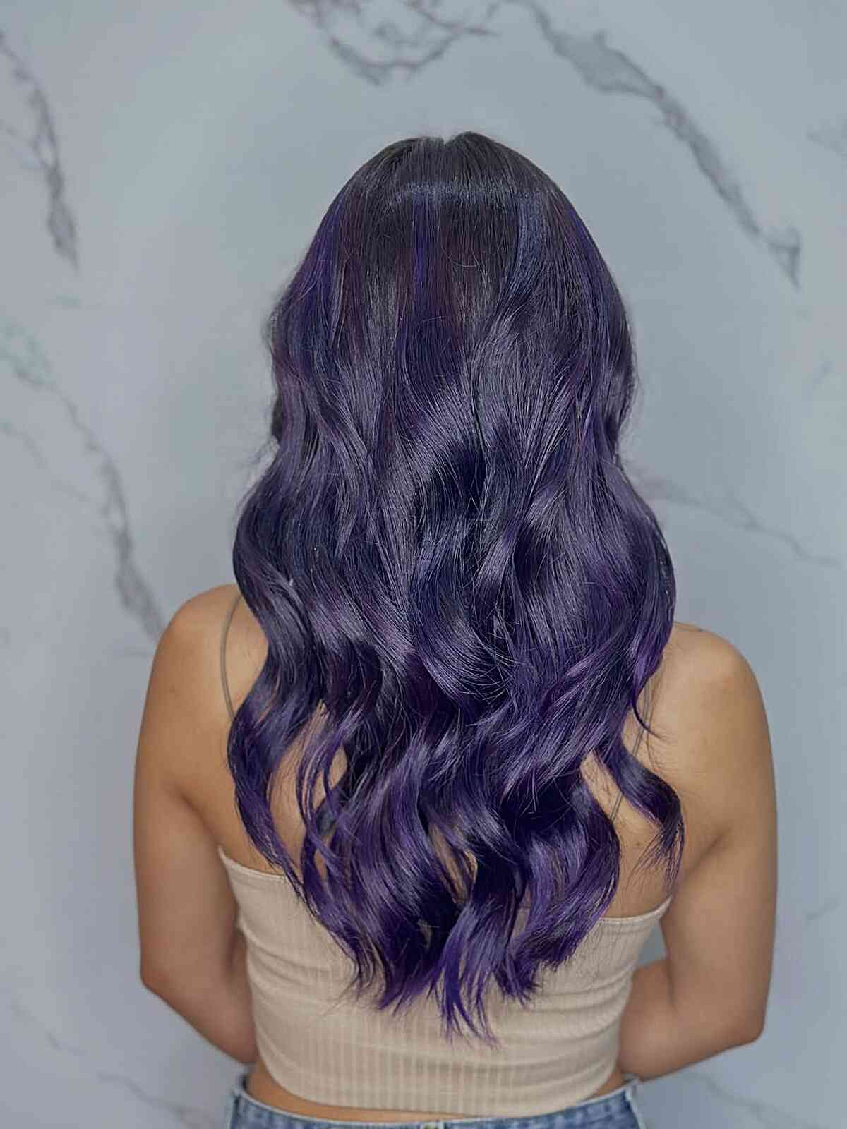 Dark Purple Base with Lighter Highlights — Dark Purple Hair