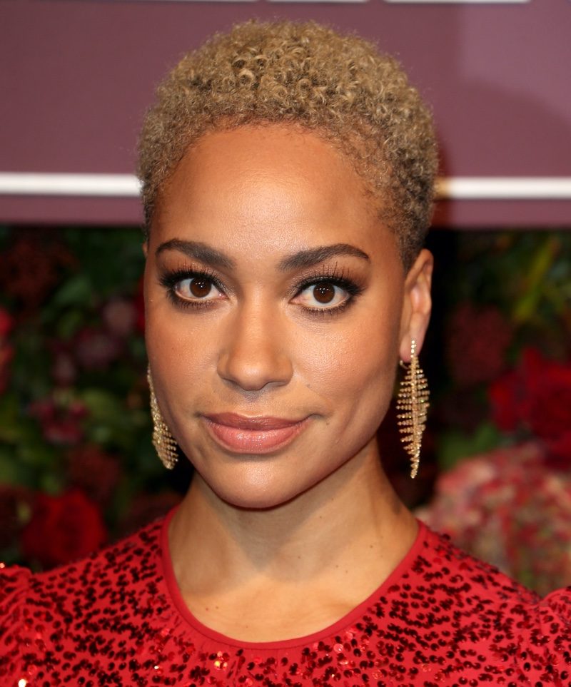Ash Blonde Textured Afro — Afro Hairstyles