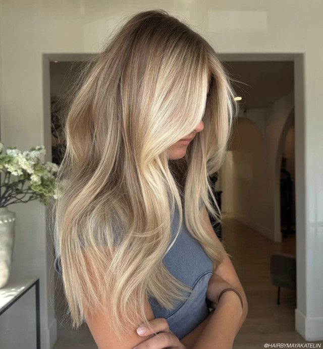 Long Layers Visual Idea — Brown and Blonde Hair