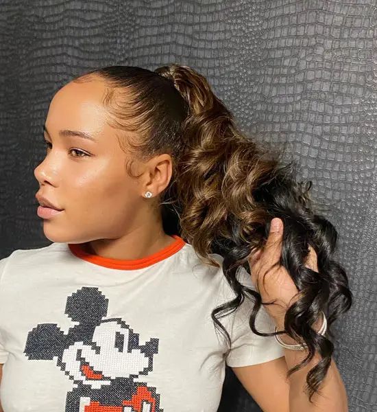 Wavy Dark Brown Ponytail With Dimension — Genie Ponytail